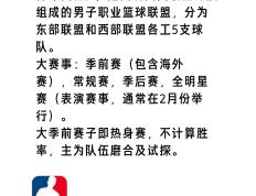 开云体育登录-包含篮球联赛最新消息：球队实力大比拼的词条