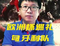 开云体育APP下载-匈牙利队成功晋级欧洲国家杯四强