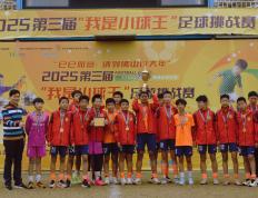 开云体育-体育风采在足球赛场上绽放，备受关注