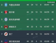 开云体育官网-伯明翰城深陷降级区，拼尽全力保级
