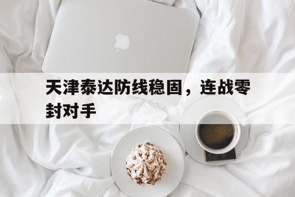 开云体育下载-天津泰达防线稳固，连战零封对手