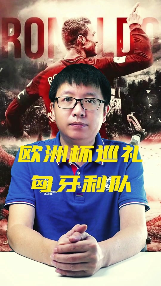 开云体育APP下载-匈牙利队成功晋级欧洲国家杯四强
