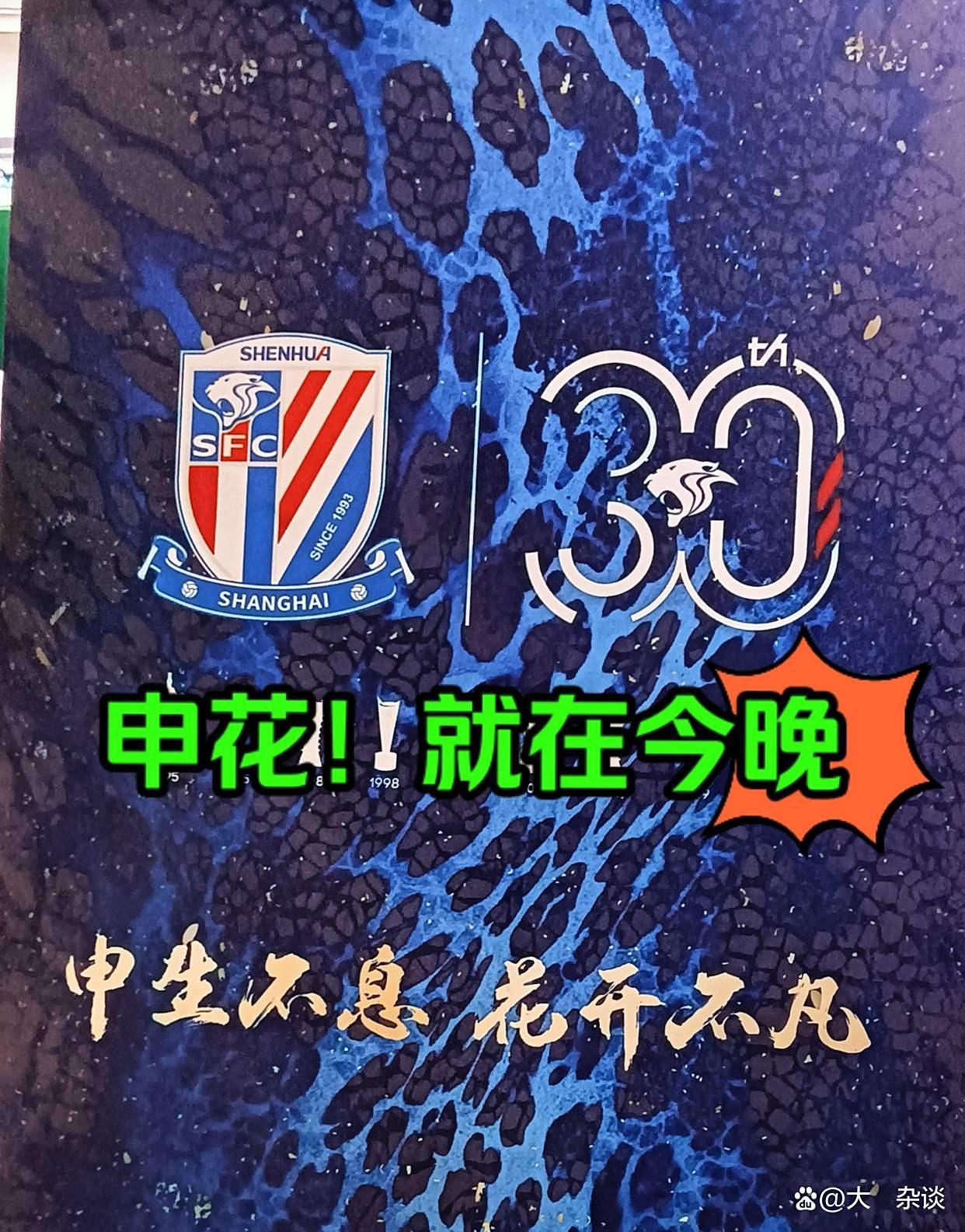 开云下载-上海申花逆袭:申花队逆转战胜对手的简单介绍