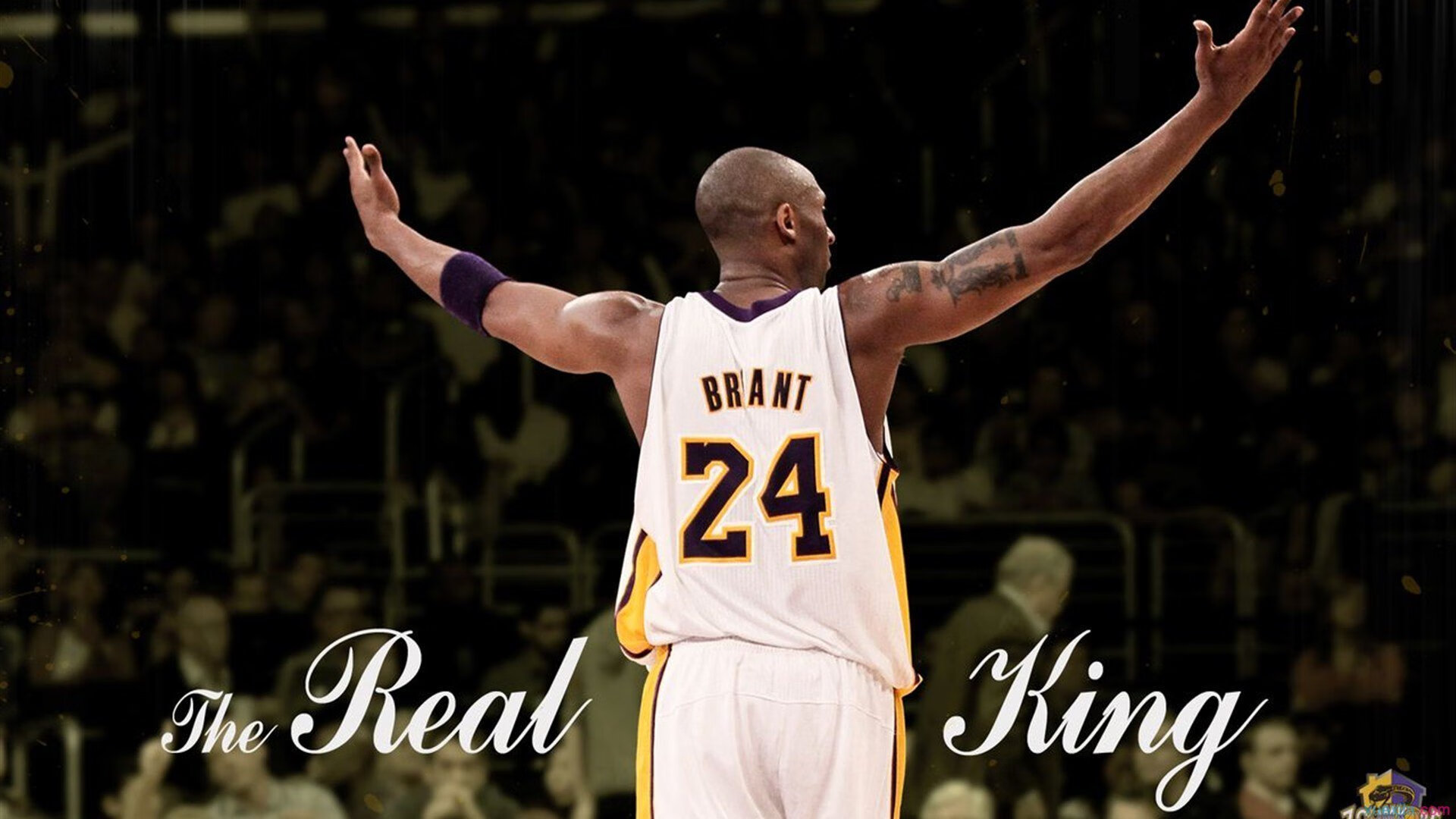 开云APP-暗夜中的手术刀,哈利伯顿在奥运关键战之夜缔造传说